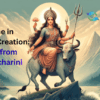Discipline in Wealth Creation: Lessons from Brahmacharini